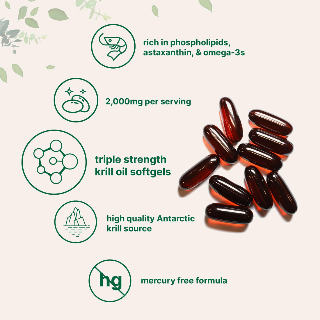 Micro Ingredients Antarctic Krill Oil Supplement, 2,000mg Per Serving, 240 Softgels, Triple Strength, Rich in Omega-3s EPA, DHA & Natural Astaxanthin, Supports Immune System & Brain Health