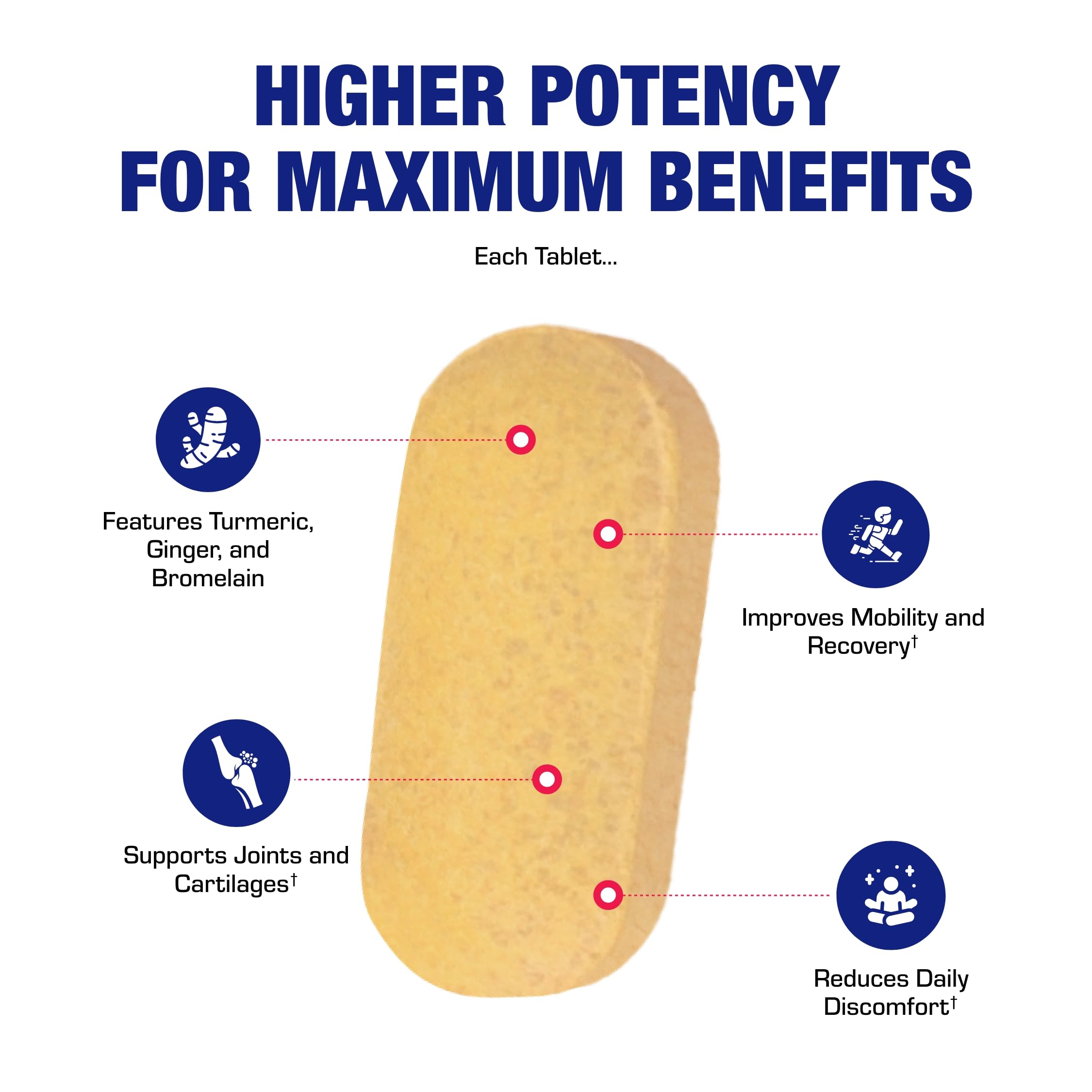 Pro Enz Joint Support Supplement - Clinical Formula Turmeric Boswellia Supplement for Joint & Cartilage Mobility and Comfort Support plus Eicosanoid Management with Proteolytic Enzymes (60 tablets)