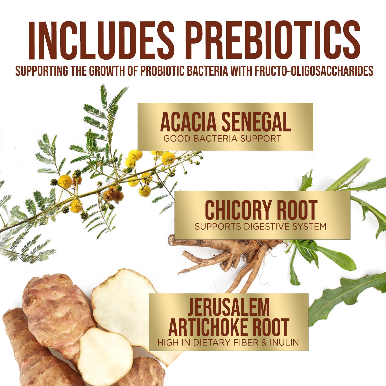 Probiotics 60 Billion CFU per Serving - 10 Strains + Prebiotics - Immune, Digestive & Gut Health Support, Supports Occasional Constipation, Gas & Bloating - Shelf Stable for Women & Men - 60 Capsules