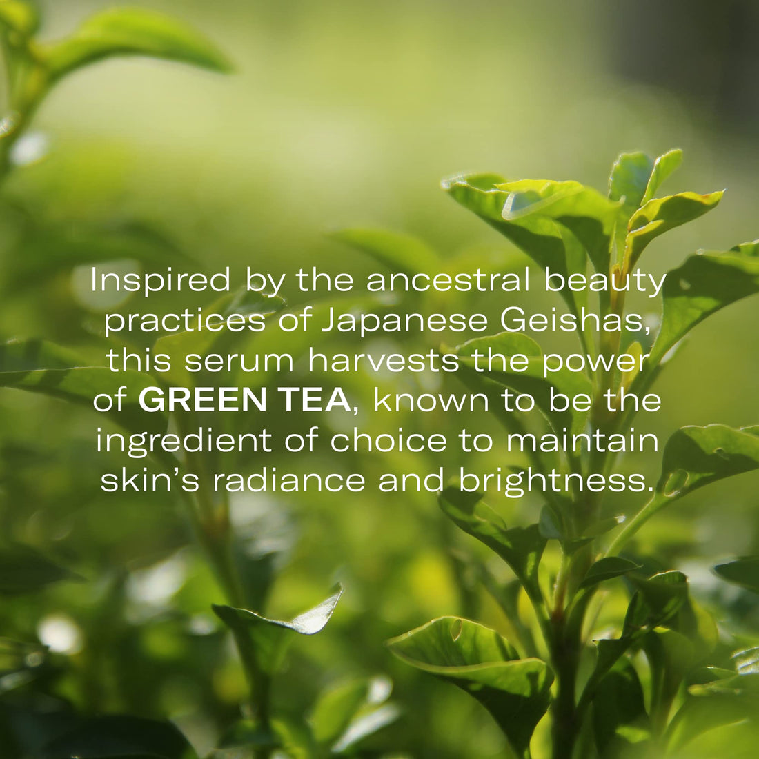 Green Tea Lemongrass Serum Concentrate (Radiance Effect) 0.17 oz by Odacite