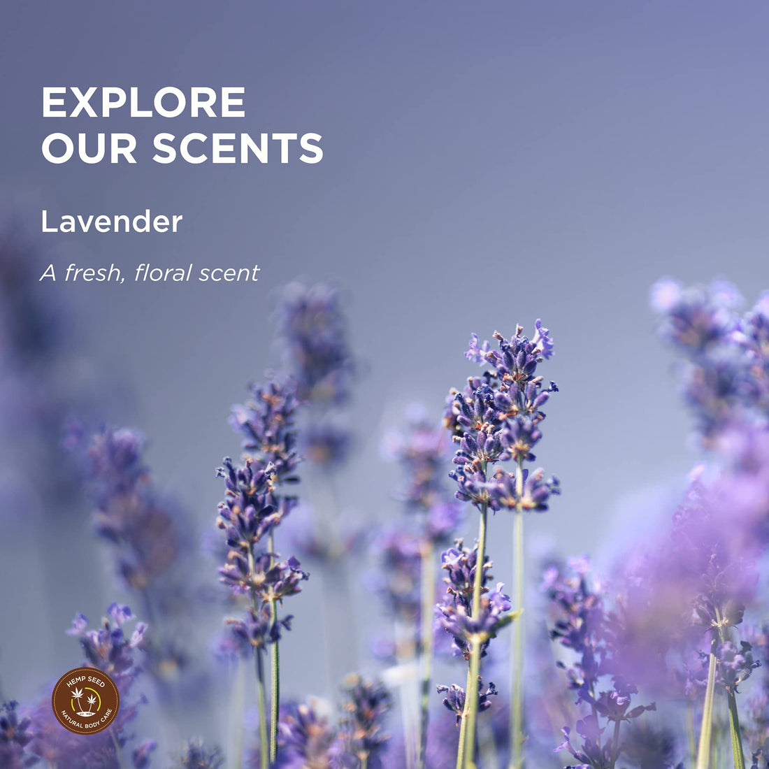 Earthly Body Hemp Seed Bath & Shower Gel (8 fl. oz.) - GUAVALAVA