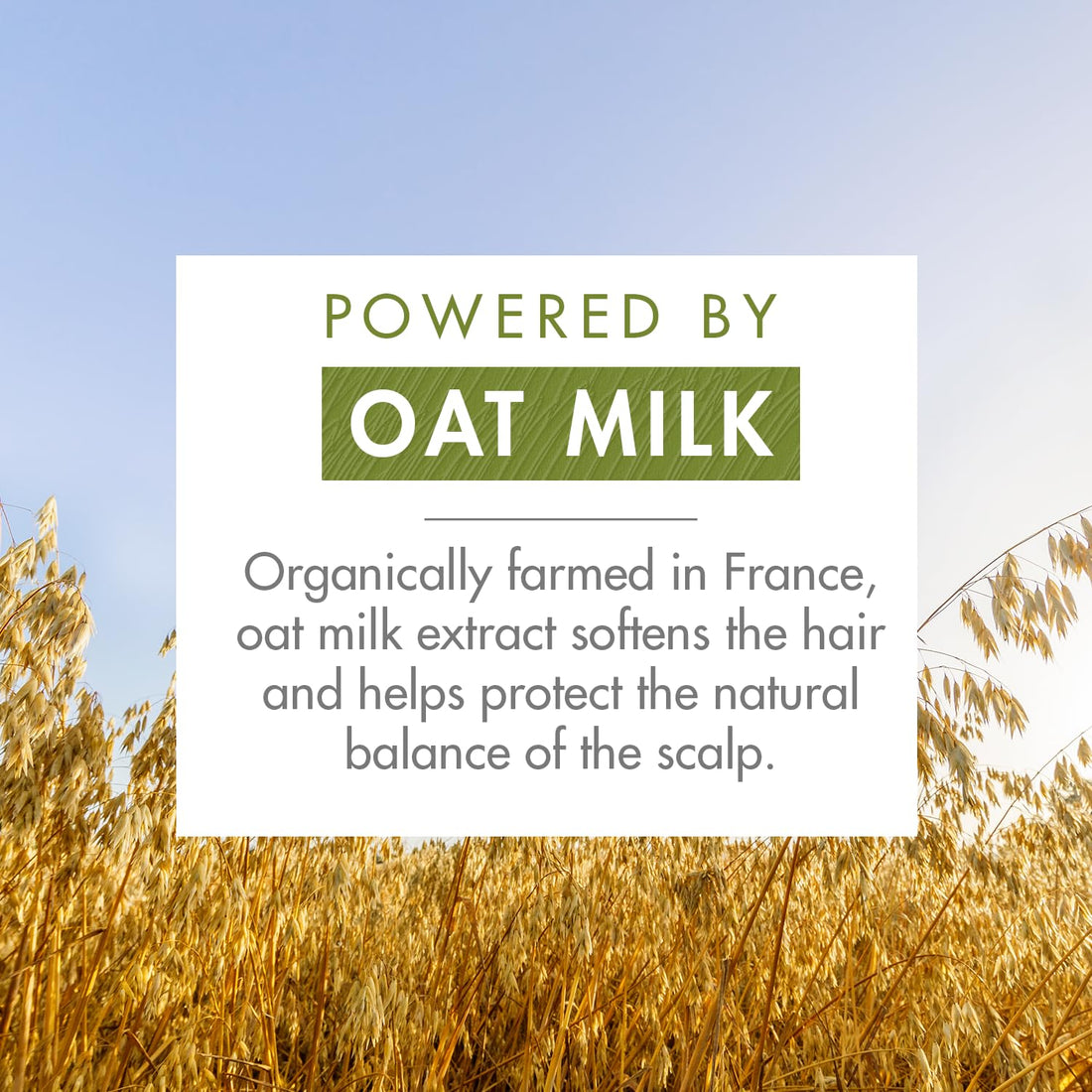 Klorane Conditioner With Oat Milk