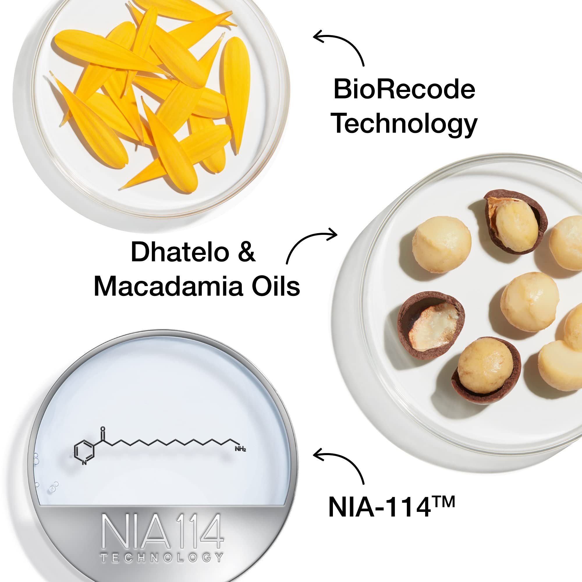 StriVectin Wrinkle Recode Line Transforming Melting Serum, 1 Fl. oz.