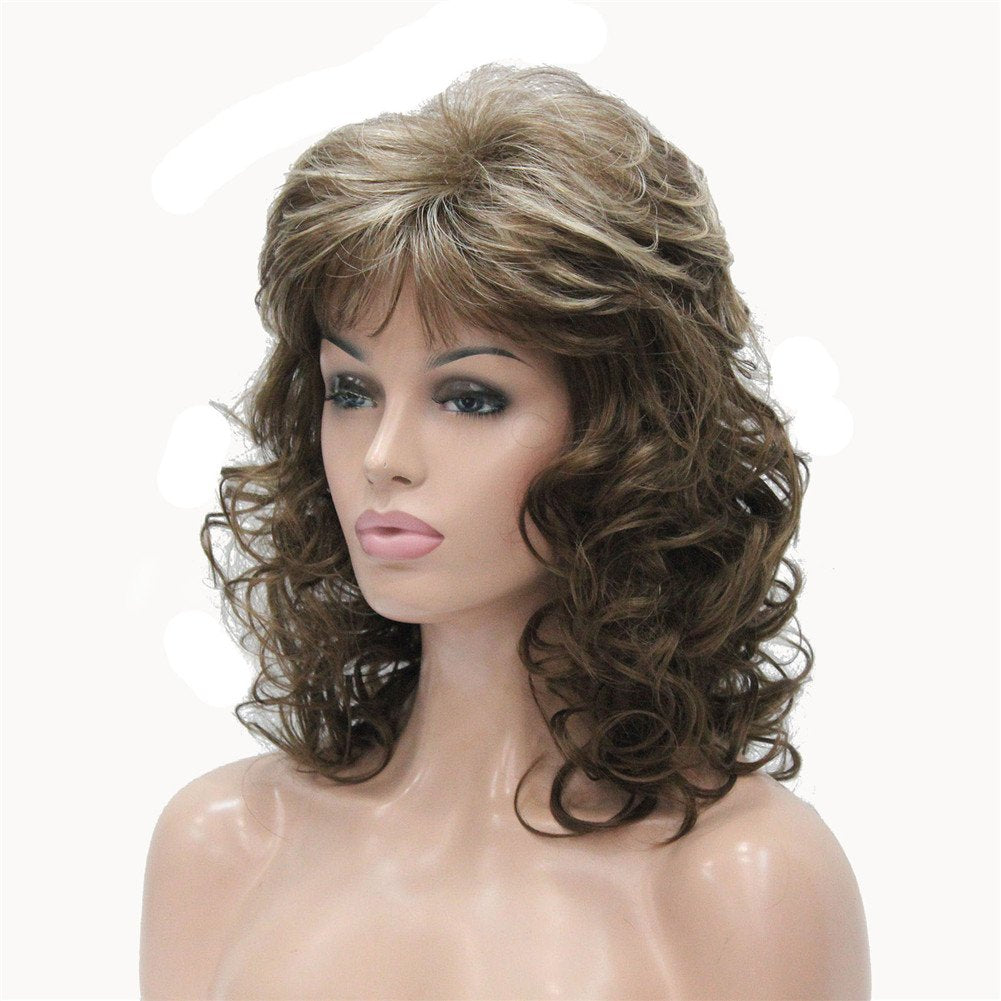 #12TT26-Brown Highlighted: Aimole Women's Natural Long Curly Wig Synthetic Hair Full Wigs(12TT26-Brown Highlighted)