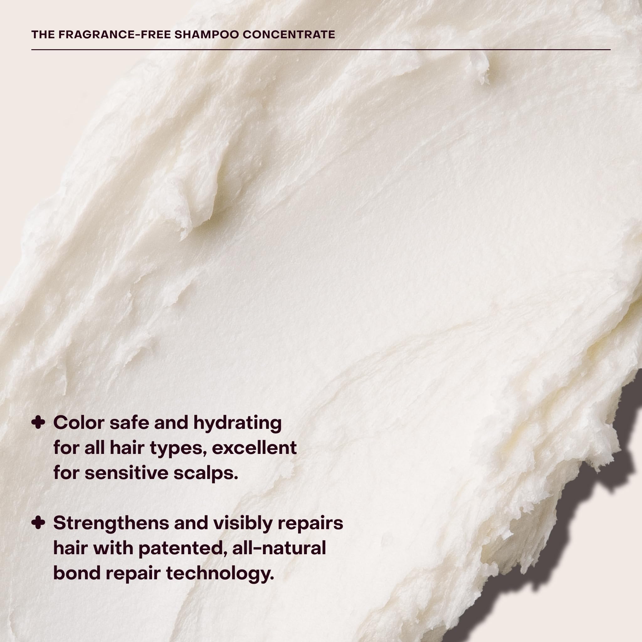 Everist The Fragrance-Free Shampoo Concentrate, Cleansing, Hydrating and Soothing for All Hair Types, Sensitive Skin, Gentle On All Scalpls, Plant-based, Aloe Vera, 3.4 fl oz, 50+ Washes, TIN