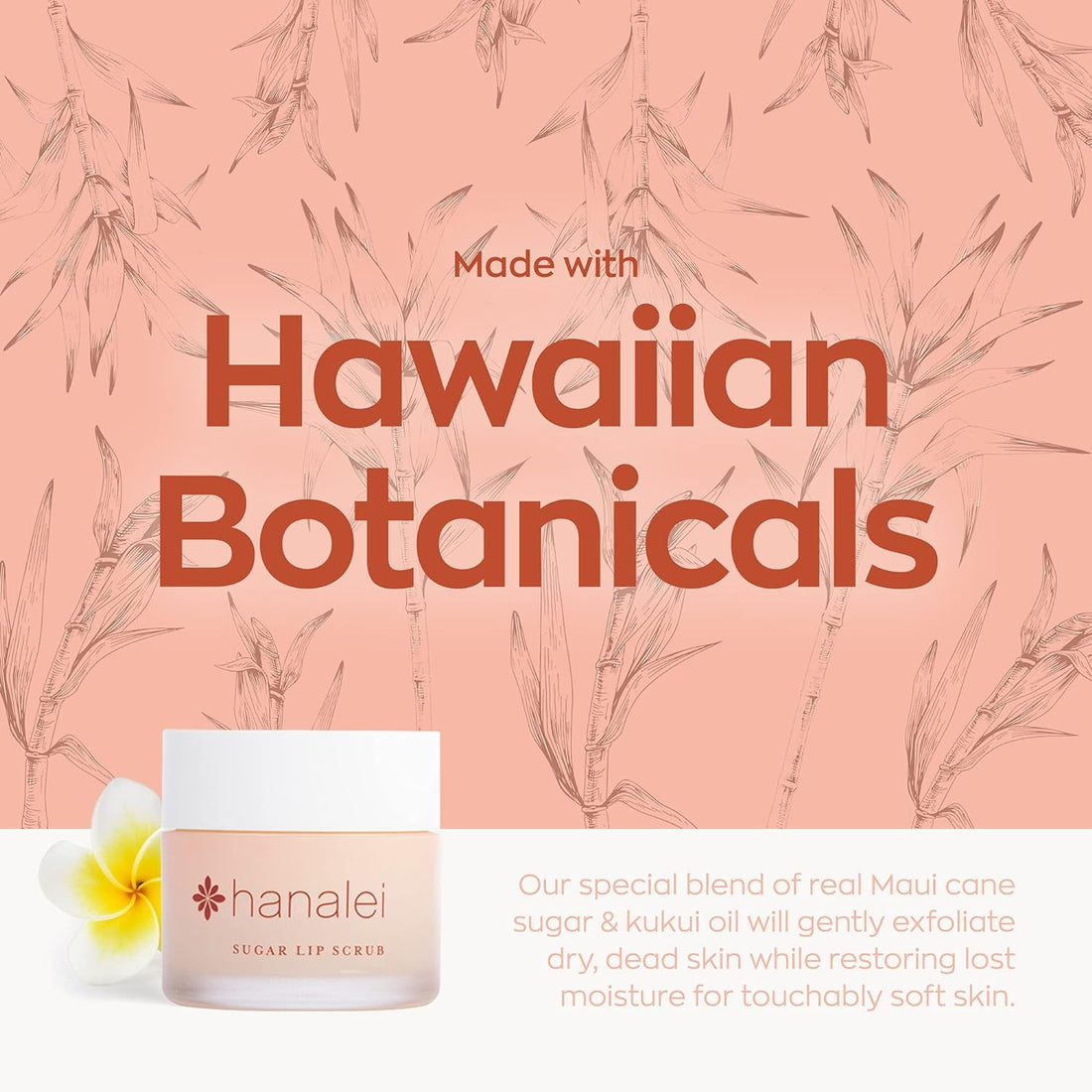 Sugar Lip Scrub by Hanalei Beauty Company (Cruelty-free) Net Weight 22g