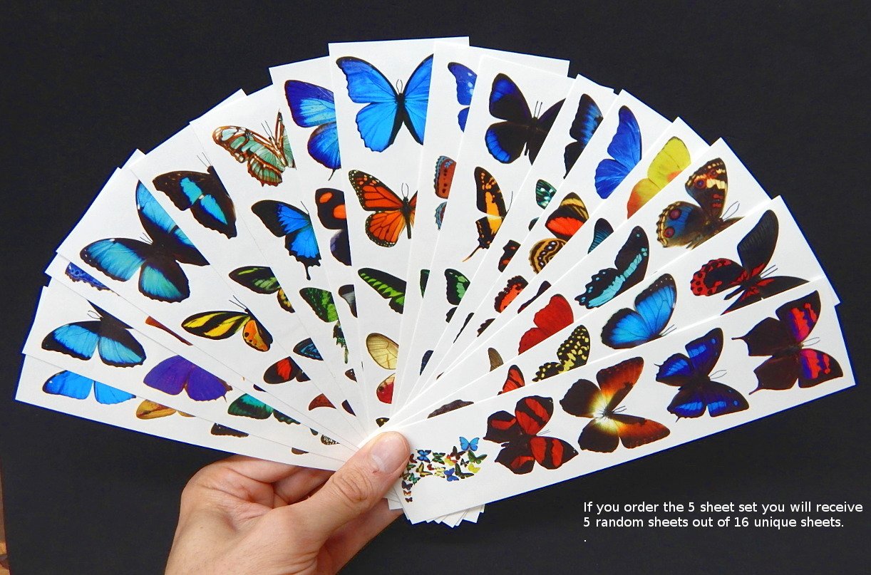 Temporary Butterfly Tattoos (Free Shipping) 5 Sheets