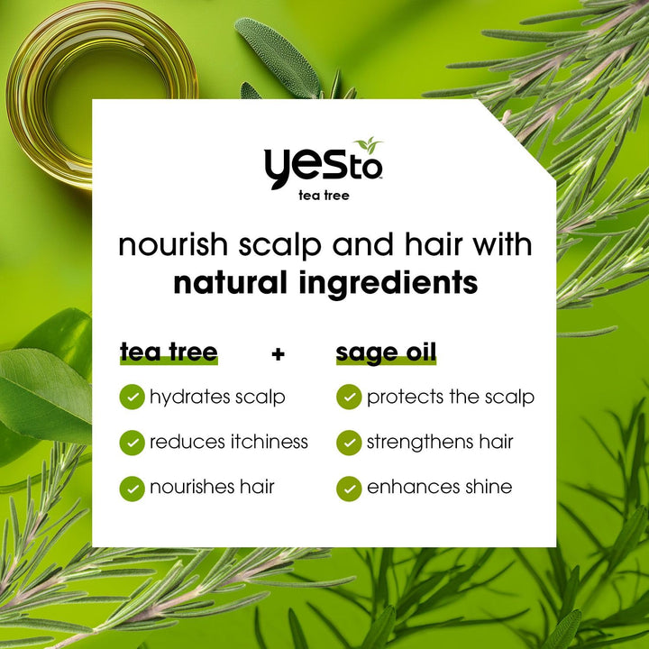 Yes To Tea Tree Scalp Relief Conditioner - Calms Dry Itchy Scalp, Hydrates & Softens With Tea Tree Oil & Sage, Natural, Vegan, Cruelty-Free, 12 Fl Oz