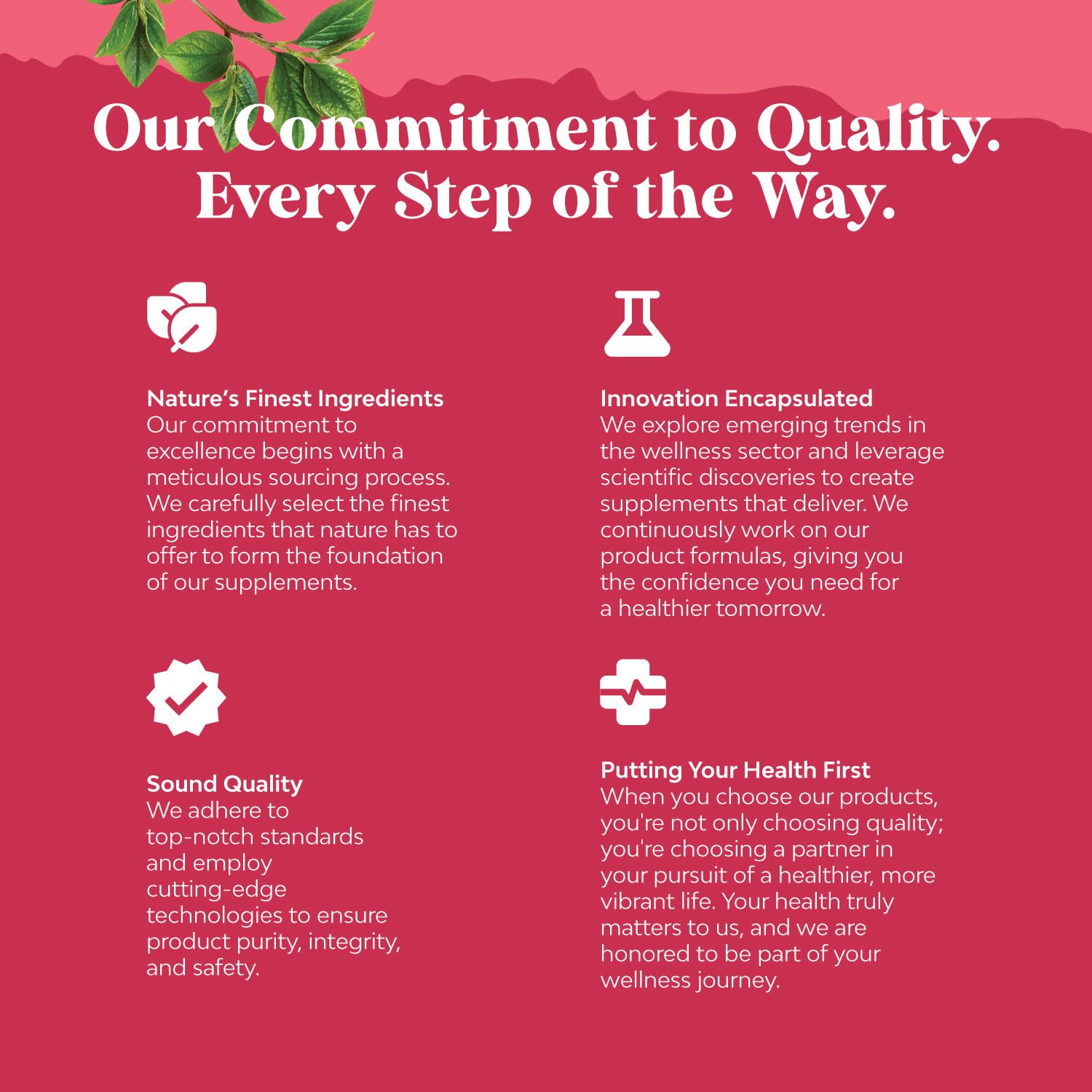 Fertility Supplement for Women with Prenatal Multivitamins - Female Fertility Support with Prenatal Choline Inositol Folate Chasteberry and CoQ10 Blend for Women to Promote Faster Conception