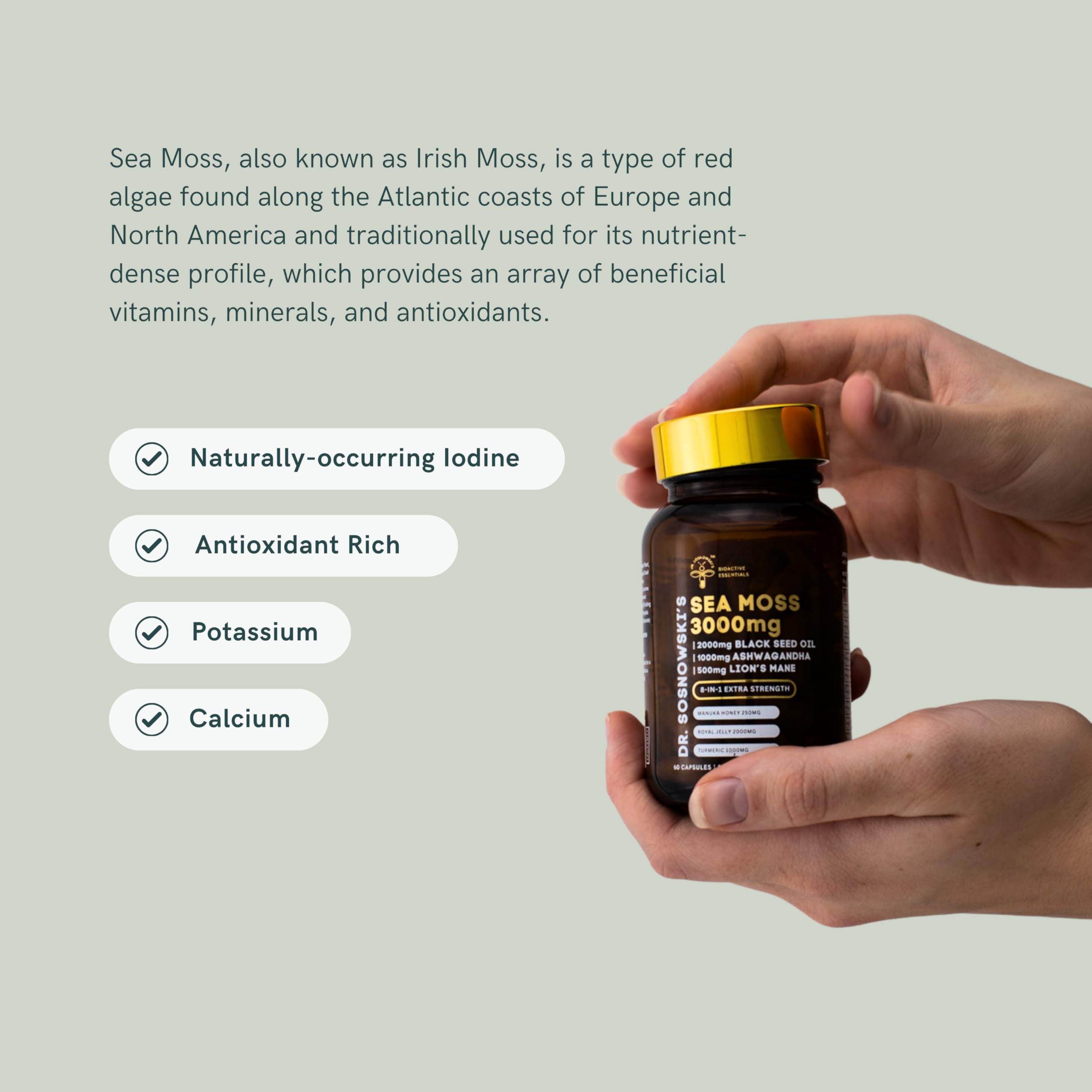 Dr Sosnowski's BioActive Seamoss 8-in-1 Formula Enriched with Black Seed, Ashwagandha, Turmeric, Manuka Honey, Lion's Mane, Royal Jelly, Bee Propolis Extract| 60 Capsules