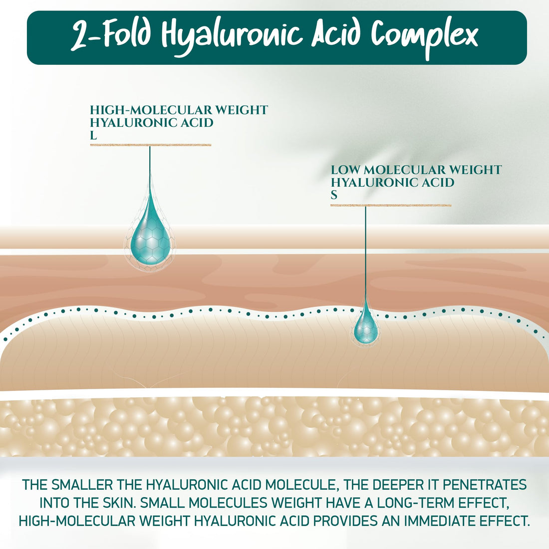 Soena Hyaluronic Acid Cream + Q10 - Quadruple Anti-Wrinkle Complex - Anti-Aging - Day & Night Cream - Highly Dosed Moisturizing Cream - For Face & Decollete