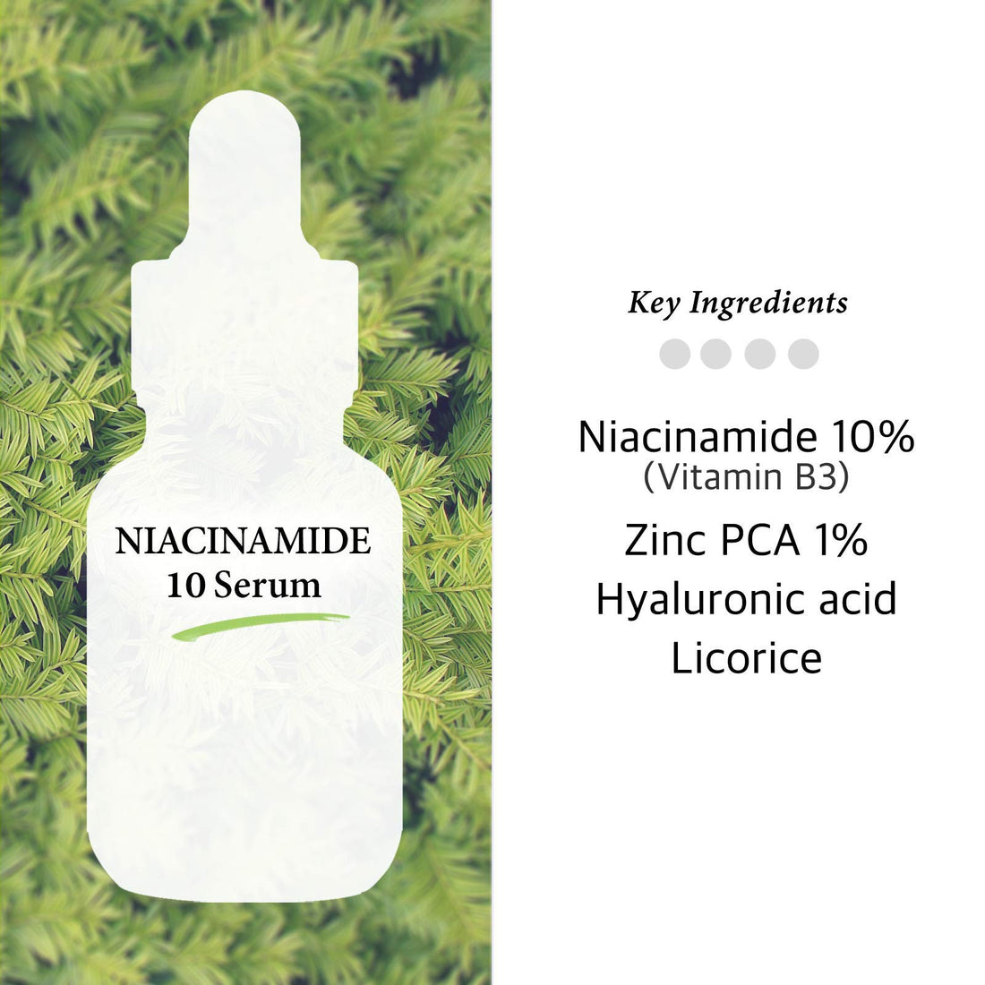 Cos De Baha Niacinamide Serum 10% With Hyaluronic Acid-Tightens Pores, Reduces Wrinkles, Boosts Collagen & Repairs Skin, Fades Dark Spots, Whitening Day Night Serum, Organic, Vitamin B3 1Fl-Oz