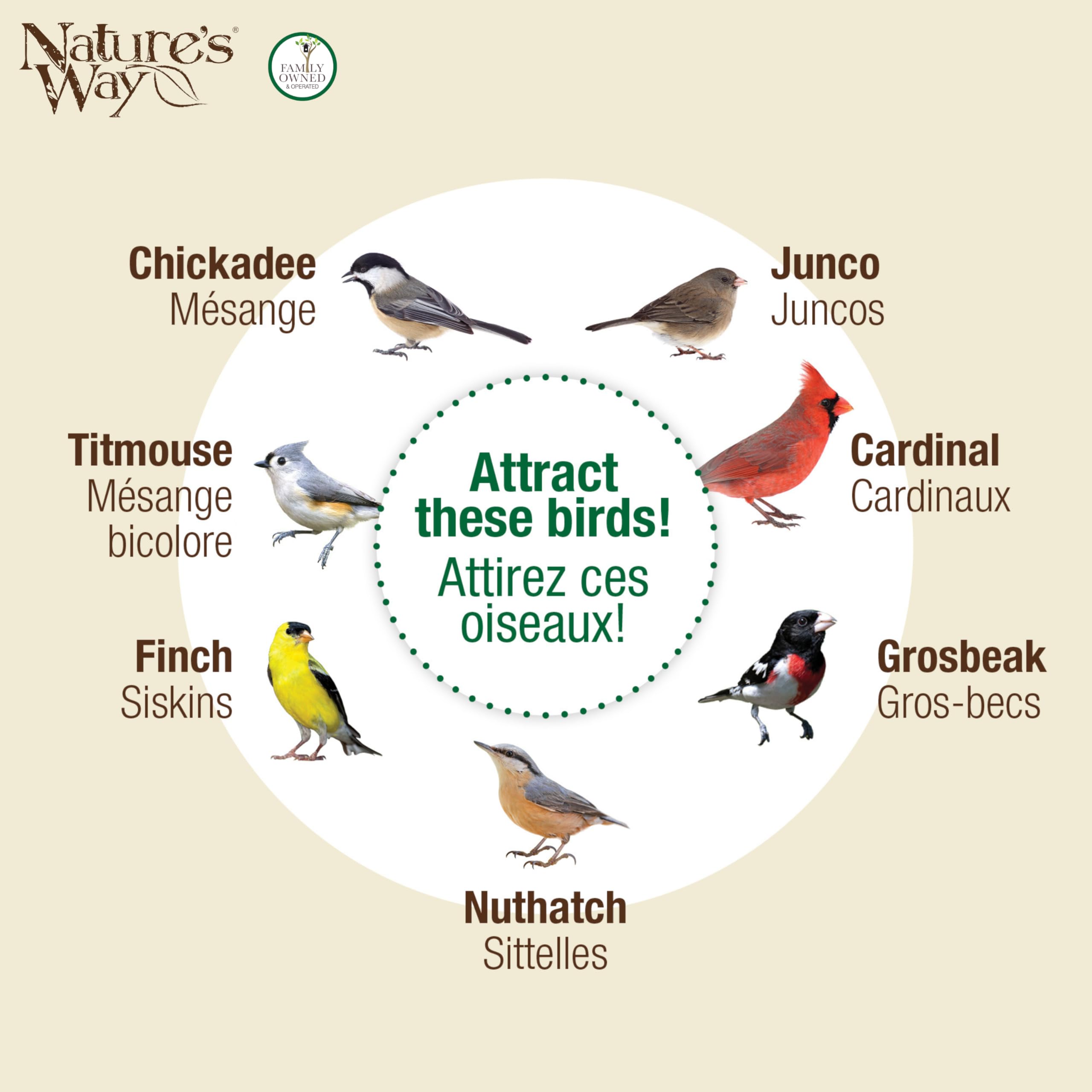 Nature's Way Large Plastic Seed Tube Bird Feeder for Wild Birds and Outdoor Décor, 2.1 Quart Capacity, Six Ports, Easy-Clean Design, Red