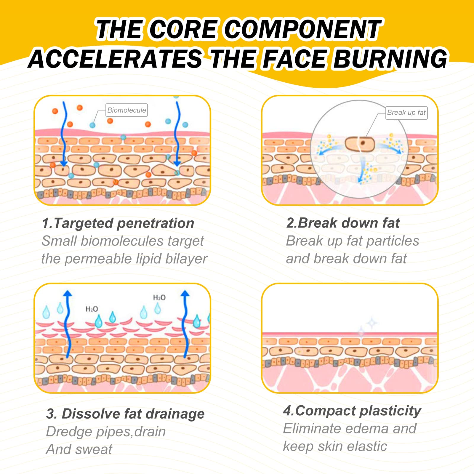 ALIVER Fat Burning Cream Lose Weight Fast for Women, Ginger Slimming Cream That Burns Stomach Body Fat, Cellulite Cream for Thighs, Belly and Butt