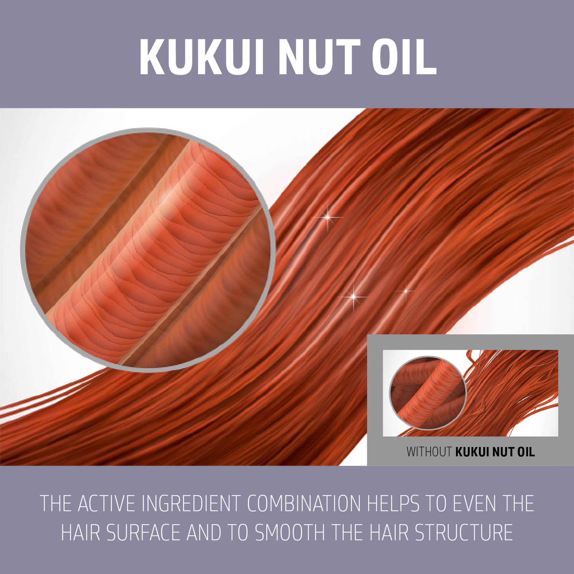 Goldwell Dualsenses Just Smooth Taming Conditioner 10.1 oz