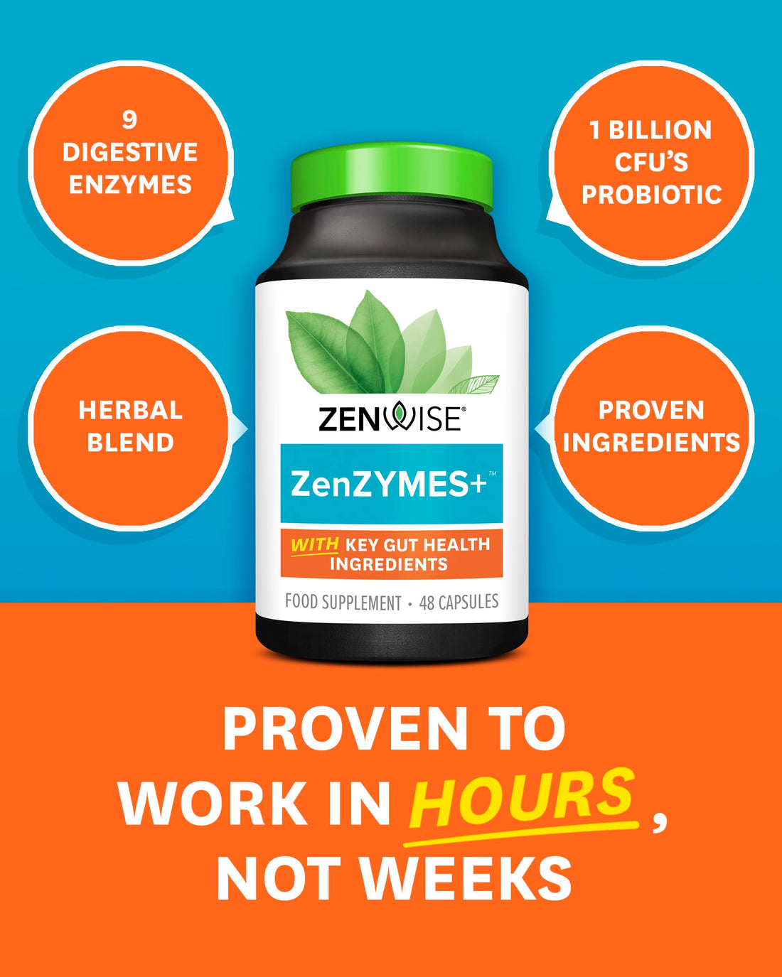 Zenwise Health NO Bloat Probiotics for Women and Men Digestive Health with Ginger, Dandelion, and Lactase, Digestive Enzymes for Gas and Bloating Relief - Vegan Water Retention Pills - 48 CT