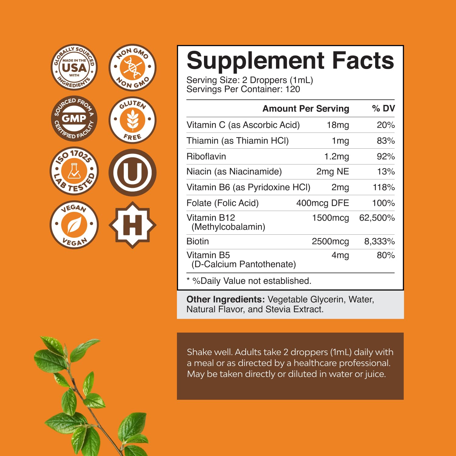 Vegan Vitamin B Complex Liquid - 9-in-1 Liquid B Complex Vitamins for Women & Men with B1 B2 B3 B5 B6 B7 Folate Methyl B12 Plus Vitamin C - Super Concentrated Non GMO & Naturally Flavored (120svg)