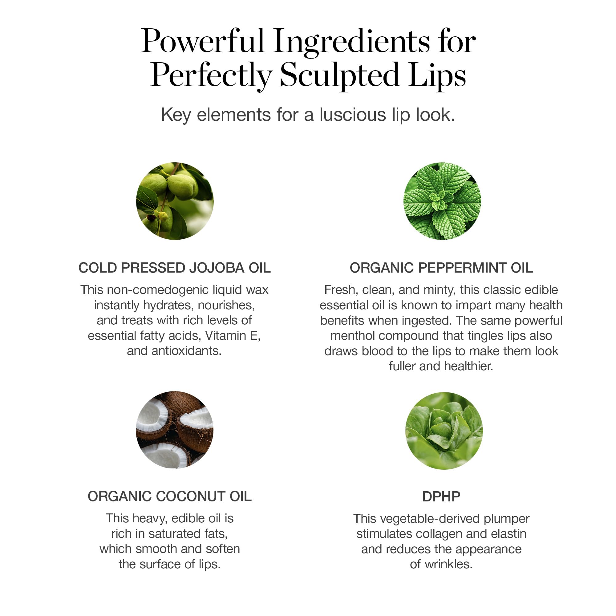 Ogee Tinted Sculpted Lip Oil - Lip Stain Made with 100% Organic Coconut Oil, Jojoba Oil, and Vitamin E - Best as Lip Balm, Lip Color or Lip Treatment - NOLANA