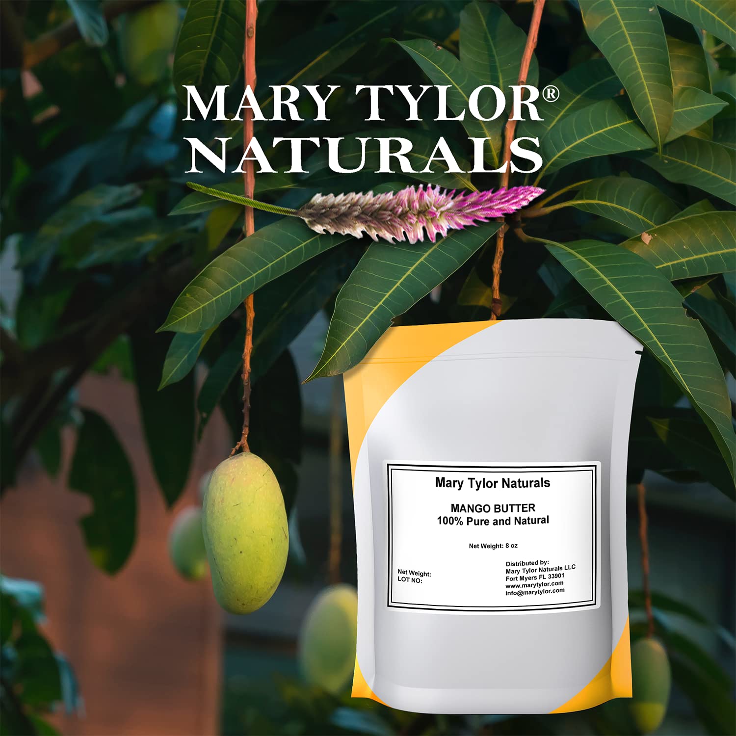 Mary Tylor Naturals Mango Butter 8 oz Cold Pressed, Unrefined,Raw Pure Mango Butter — Can be used for hair, skin and nails