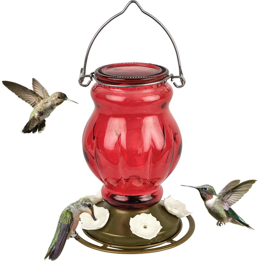 Nature's Way Hanging Glass Hummingbird Feeder for Outdoor Decor, 25 Ounce Capacity Nectar Feeder, 5 Easy to Clean Flexible Ports, Red