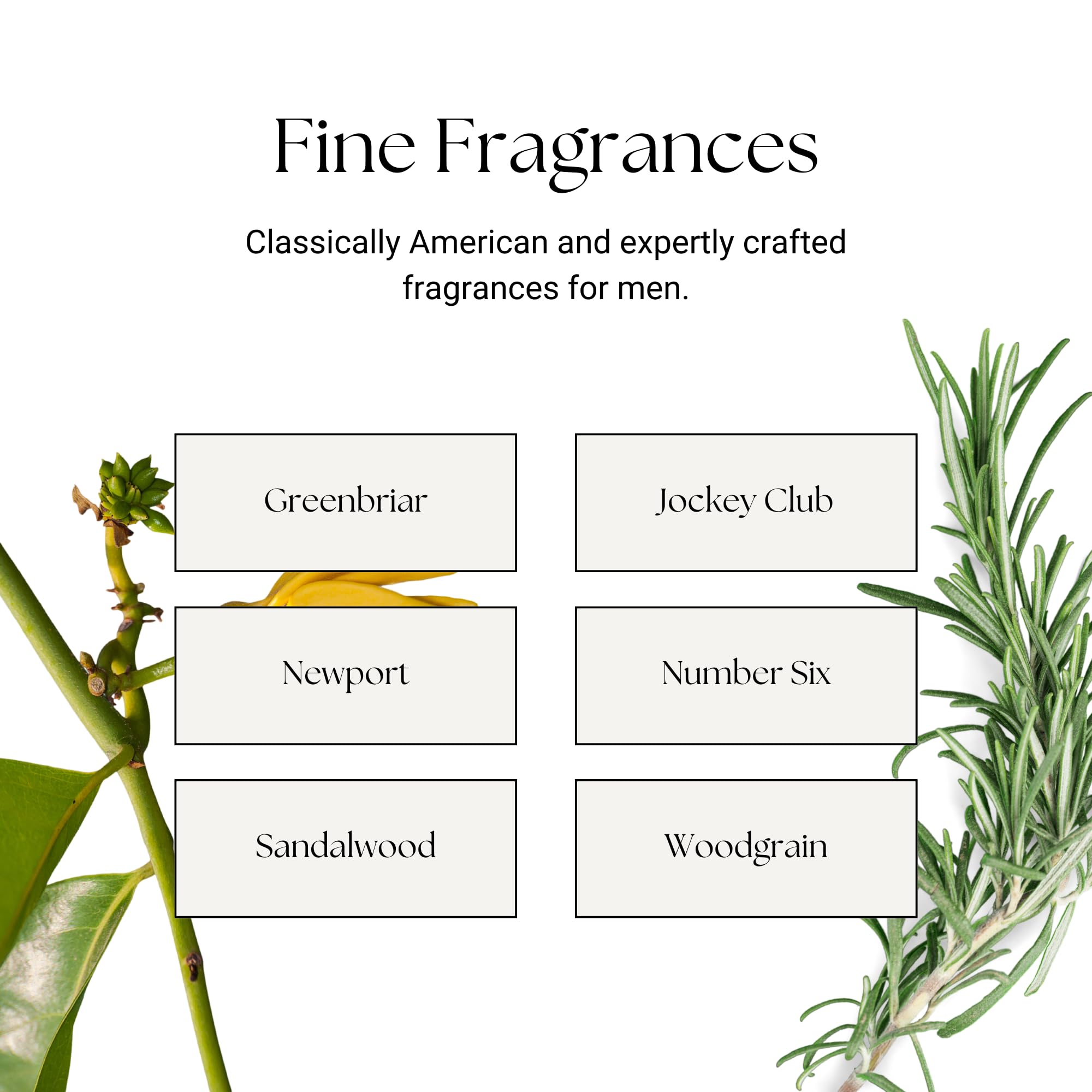 Men's Caswell-Massey Number Six Cologne Spray