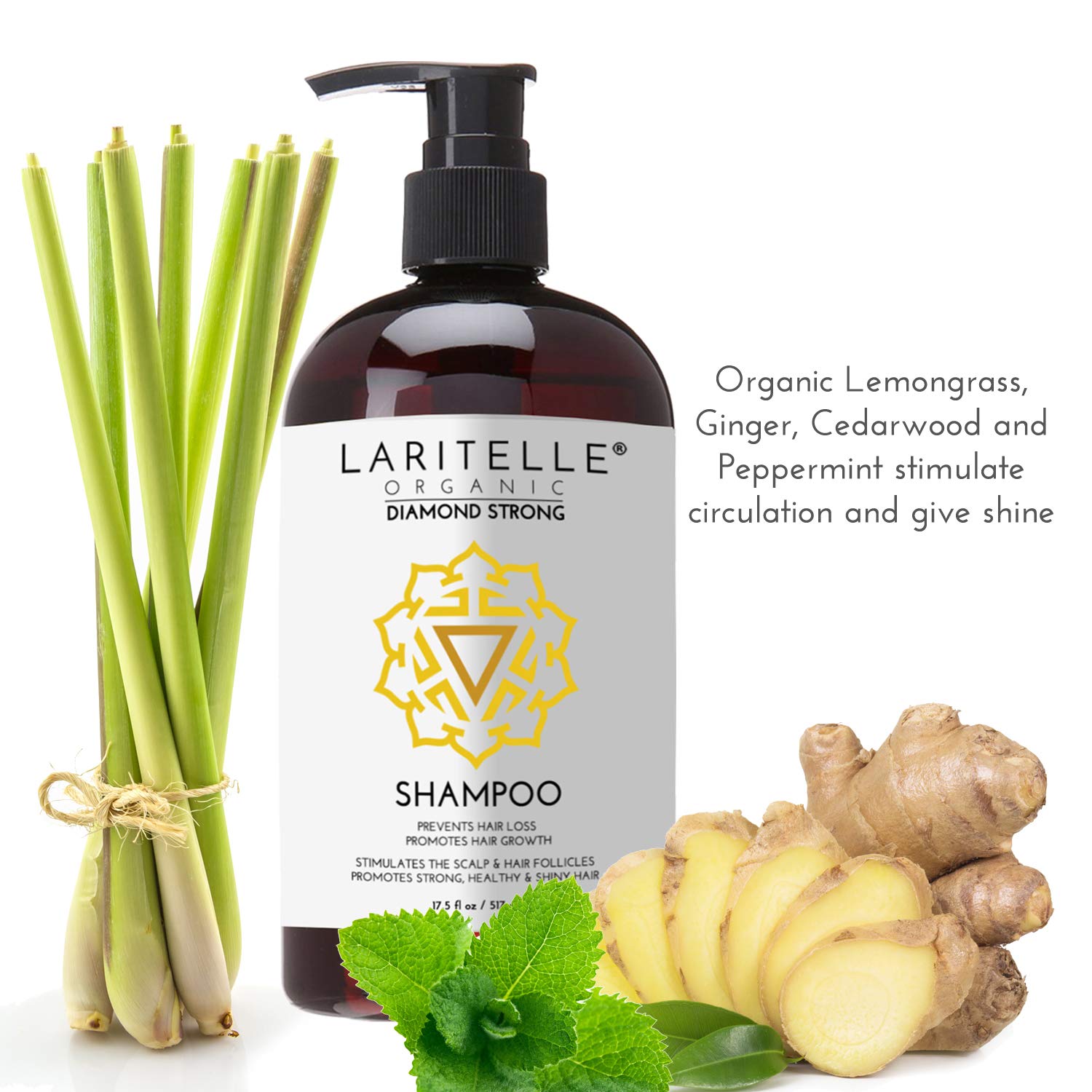 Laritelle Organic Shampoo 17.5 oz. Argan Oil, Ginger, Cedarwood. Promotes Hair Growth, Prevents Hair Loss. GF