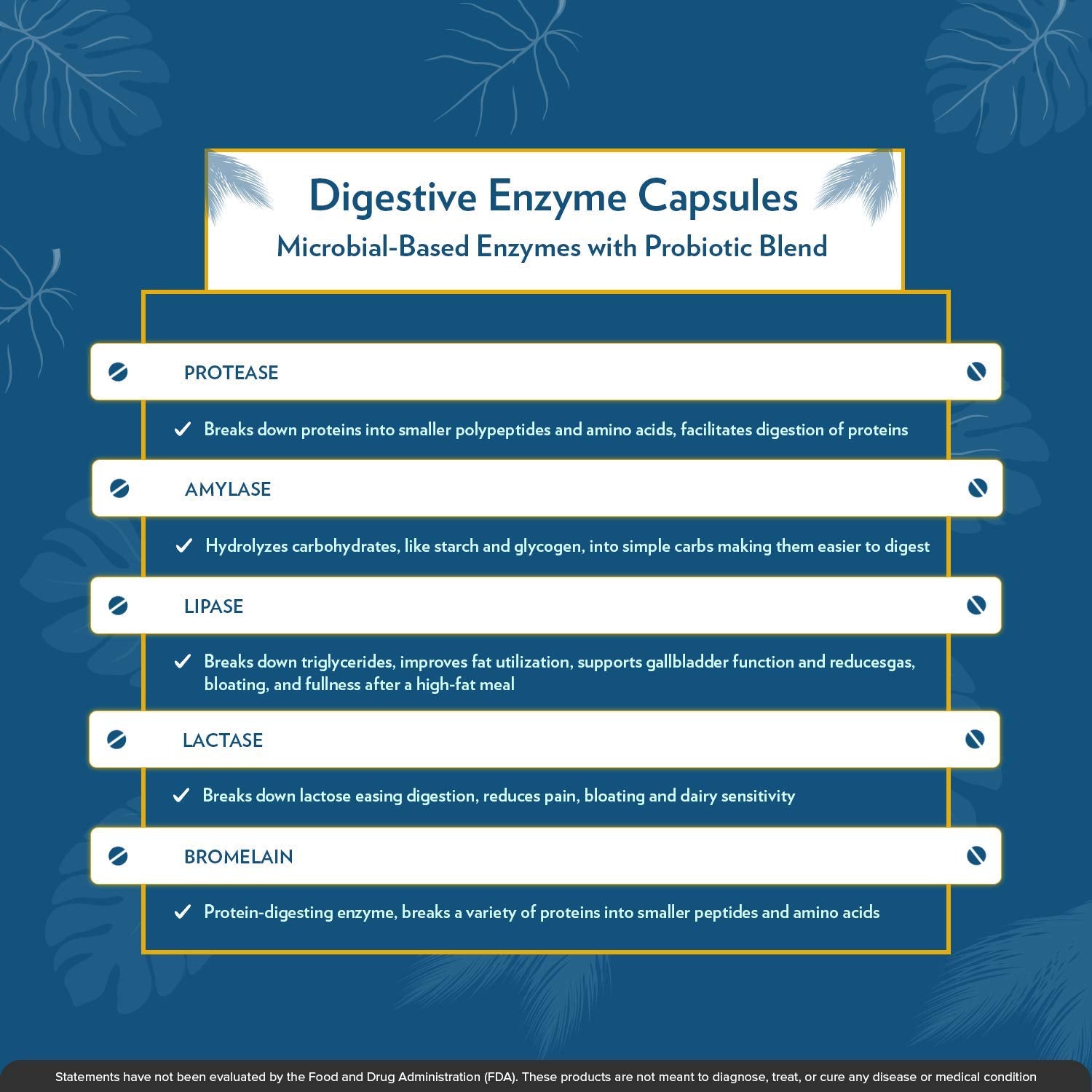 TERRA ORIGIN - Digestive Enzymes with Probiotics | Supports Healthy Digestion | Bromelain, Lactase, Amylase, Lipase | Made in The USA, Gluten-Free | 60 Servings