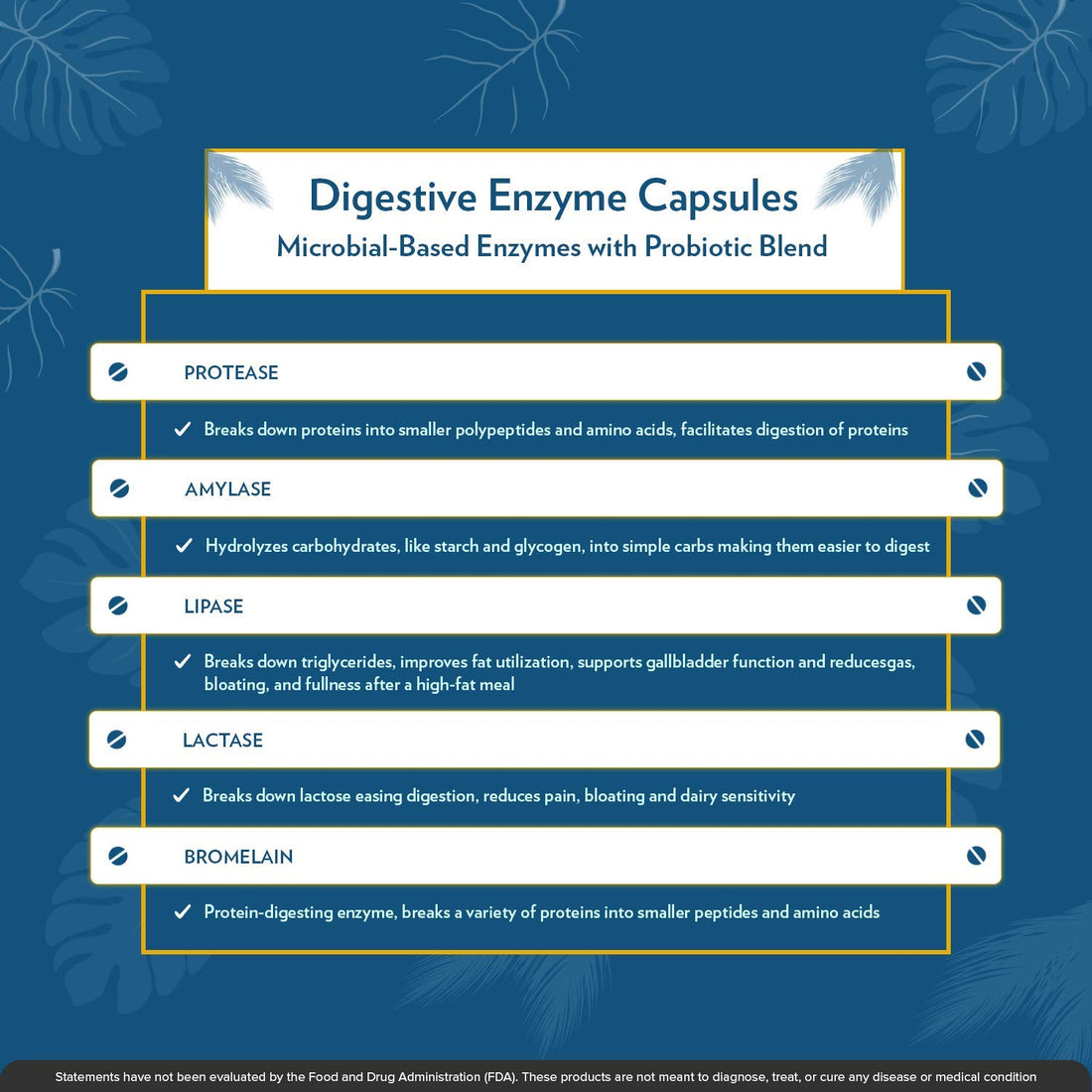 TERRA ORIGIN - Digestive Enzymes with Probiotics | Supports Healthy Digestion | Bromelain, Lactase, Amylase, Lipase | Made in The USA, Gluten-Free | 60 Servings