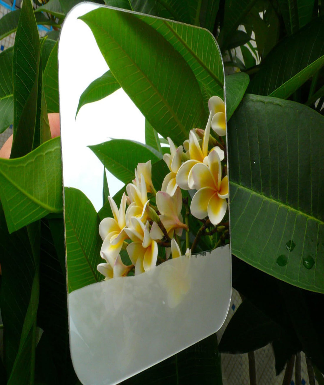 DFLLLO Large Fogless Shower Mirror, Anti-Fog Shower Mirror (11”X7.8 ”), Fog-Free Travel Shave Mirror, Shatterproof Shaving Mirror, Wall Hanging Mirror, Portable Makeup Mirror