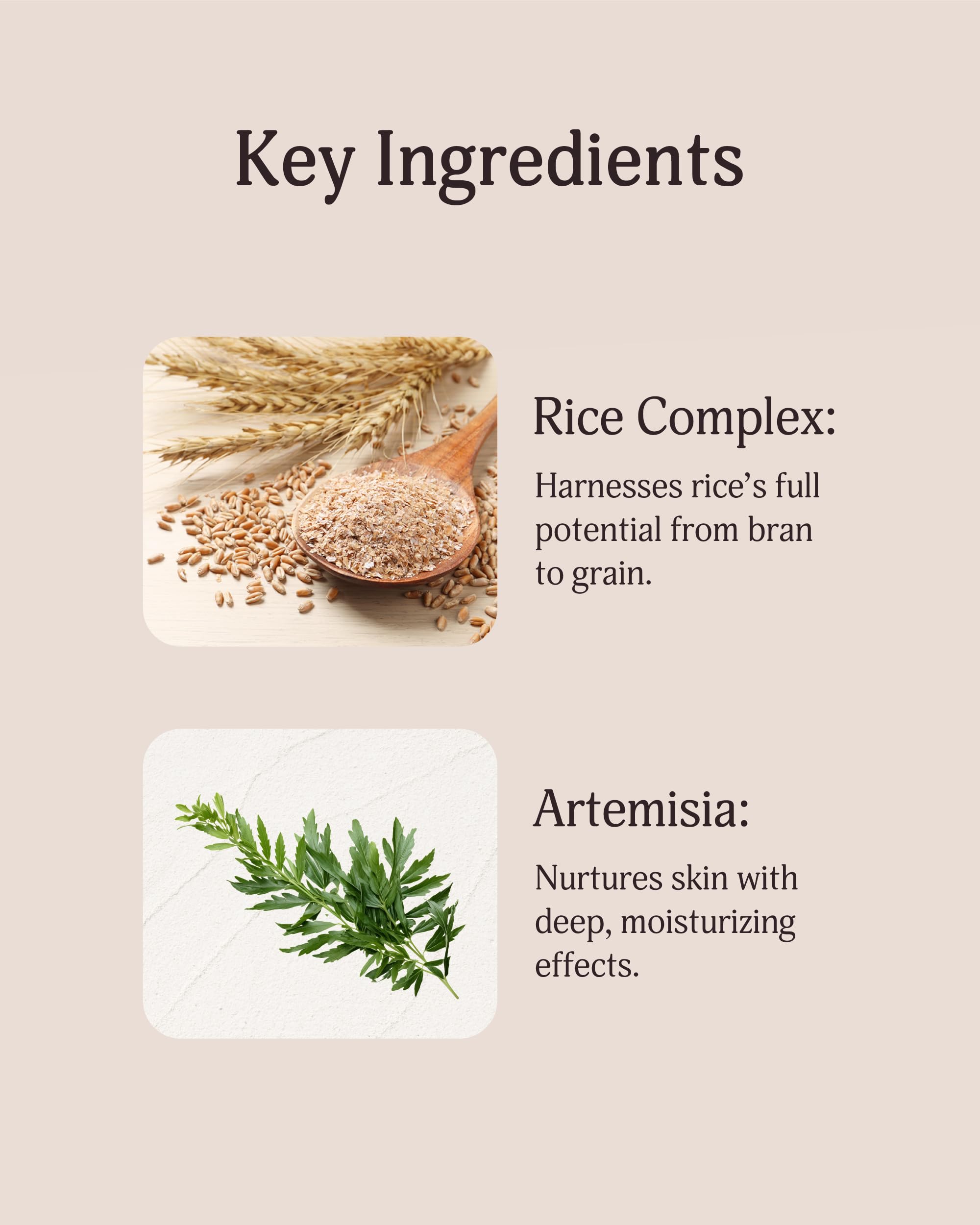 VEILMENT Rice Therapy Artemisia Cleanser (5.1+5.1fl oz, Pack of 2) - Gentle Moisturizing Face Wash for Sensitive Skin. Daily Hydrating Facial Foam for Clear, Radiant, Rice Cleanser Korean Skin Care