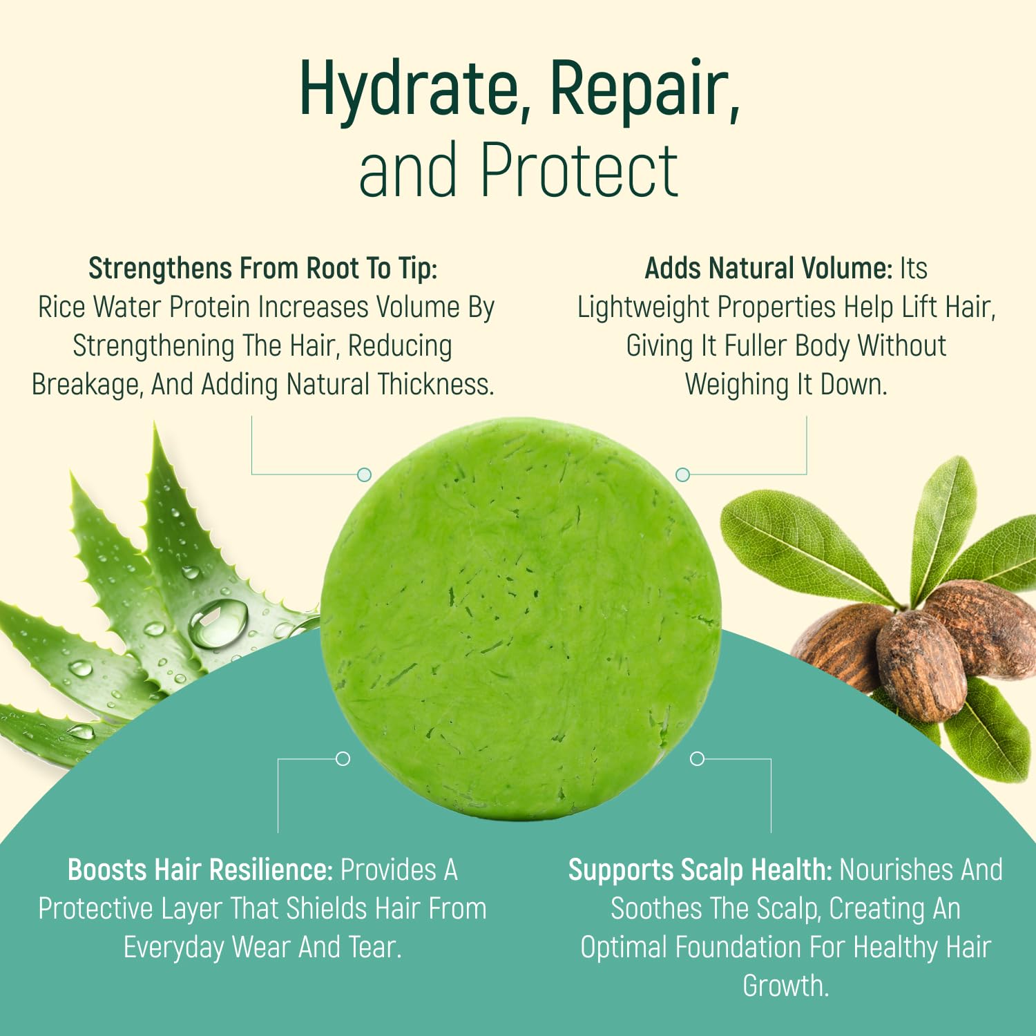 BAMBOEARTH Solid Rice Protein Water Shampoo Bar With Conditioner Effect Hair Soap – Shampoo Bars For Hair With All Natural Plant Based Essential Oils And Zero Waste Packaging (Aloe Vera)