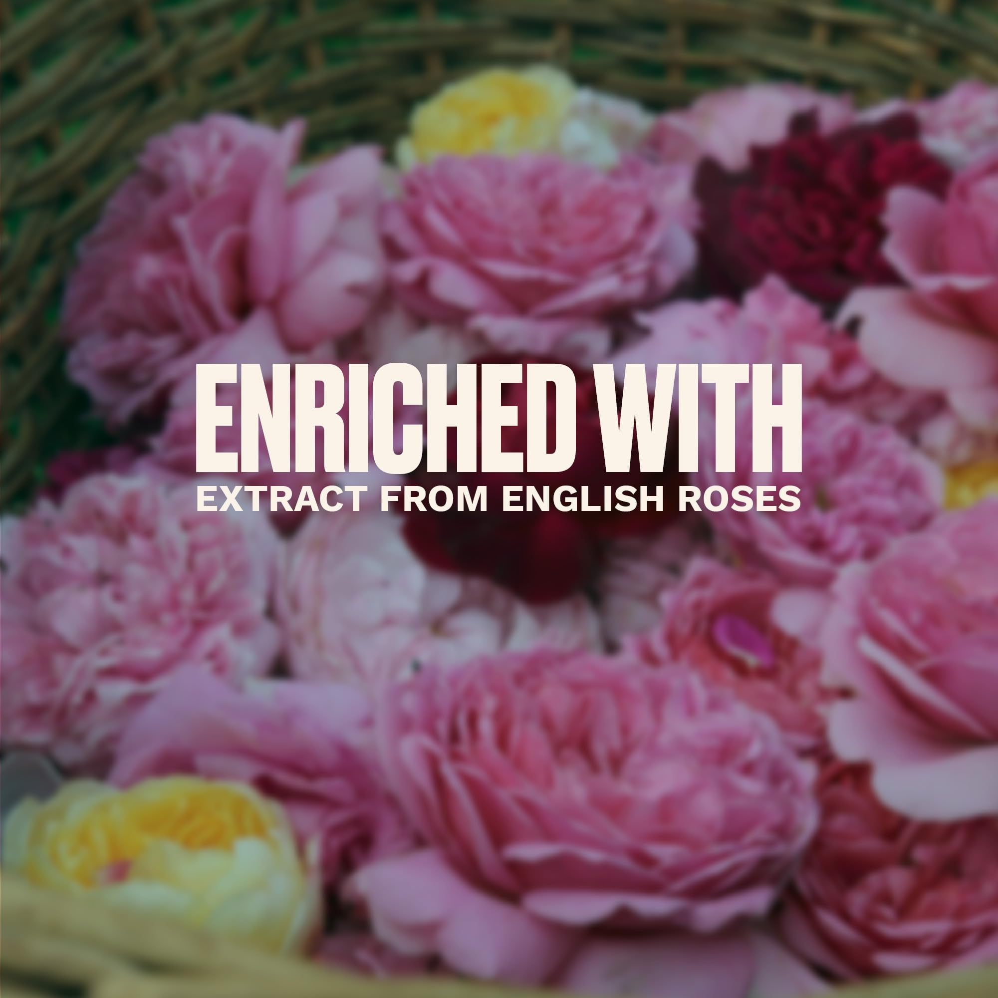 The Body Shop British Rose Eau De Toilette For Women, 100Ml