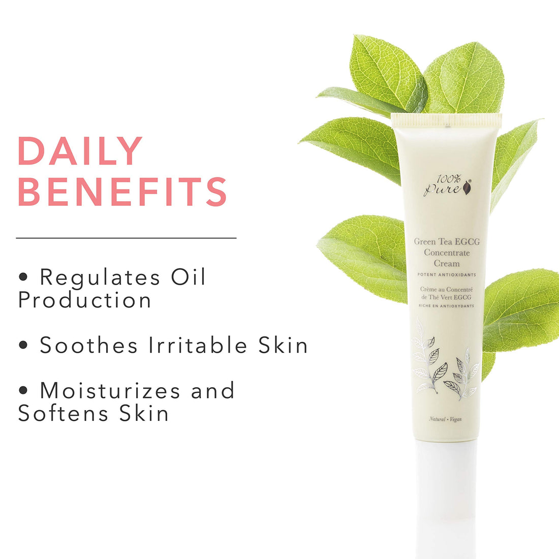 100% PURE Green Tea EGCG Concentrate Cream, Anti-Aging Face Moisturizer, Lightweight, Daily Face Cream (1.4 Fl Oz)