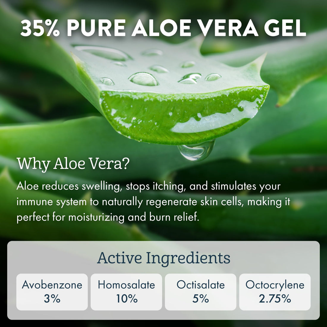 Aloe Up Sun and Skin Care Products White Collection SPF 30 Continuous Spray Sunscreen, White, Coconut-Mango, 6 Ounce