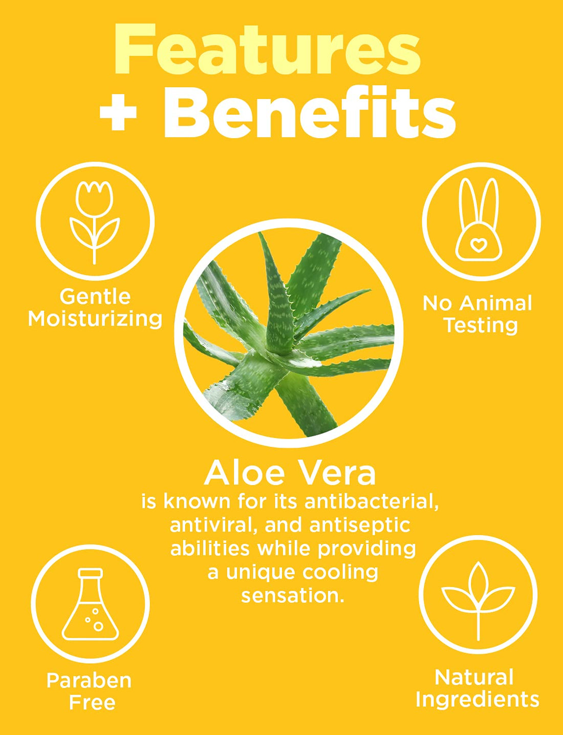 At Last Naturals MSM Cream, Face Lotion to Reduce Fine Lines and Wrinkles, Pitted Acne and Scars, Soothing Moisturizer with Vitamin E to Promote Healthy Skin (2 oz)