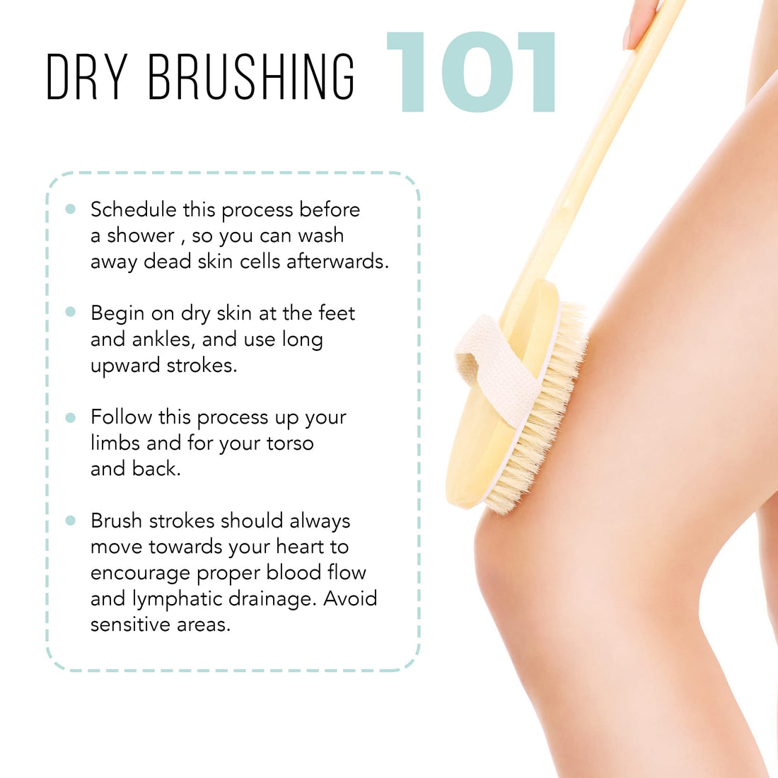 Dry Skin Body Brush - Dry Brush for Skin Care - Best for Massage, Exfoliating, Removing Dead Skin, Lymphatic Drainage, and Cellulite Treatment. Achieve Healthy Skin Today