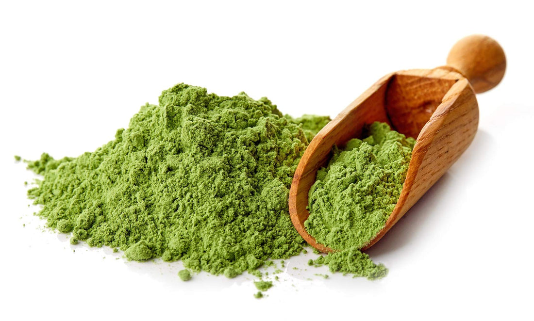 Antler Farms - 100% Pure, Organic, New Zealand Wheatgrass Powder, 40 Servings, 200g - Raw, Vegan, Gluten Free, Nutrient Rich, High Chlorophyll Wheat Grass, Detox, Essential Amino Acids, Minerals