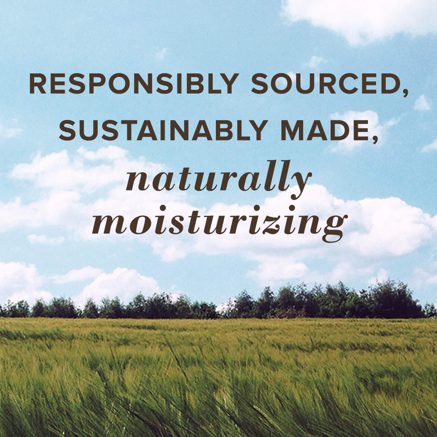 Burts Bees, Squeezy Tinted Lip Balm - Mandarin Granita, 0.43 Ounce