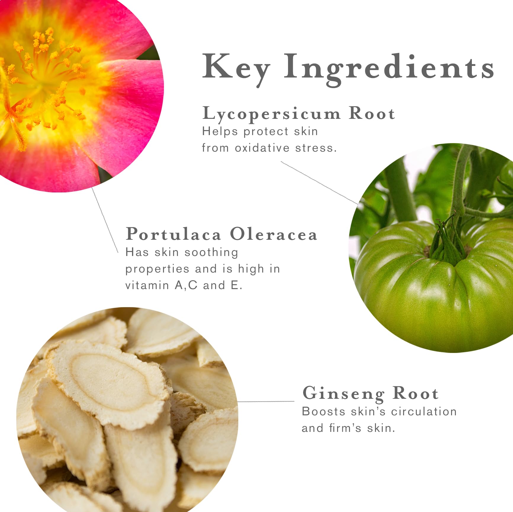 DERMAdoctor MED e TATE Antiperspirant Wipes 30 Packettes