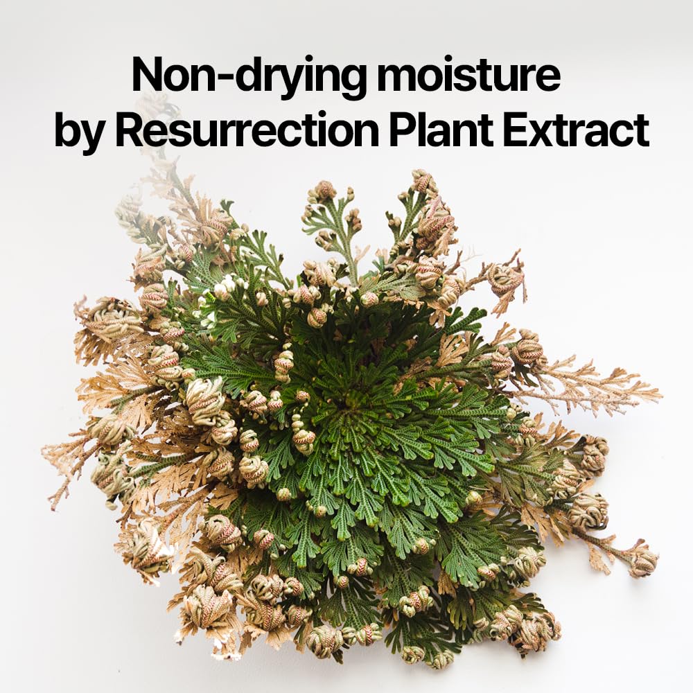 Pyunkang Yul [PKY] Dancheong Body Lotion, Intensive Moisture, Natural Scents with Essential Oils, Inspired by Fade-Resistant Korean Dancheong, Zero Irritation, Korean Skincare (11.83 Fl. Oz, 350ml)