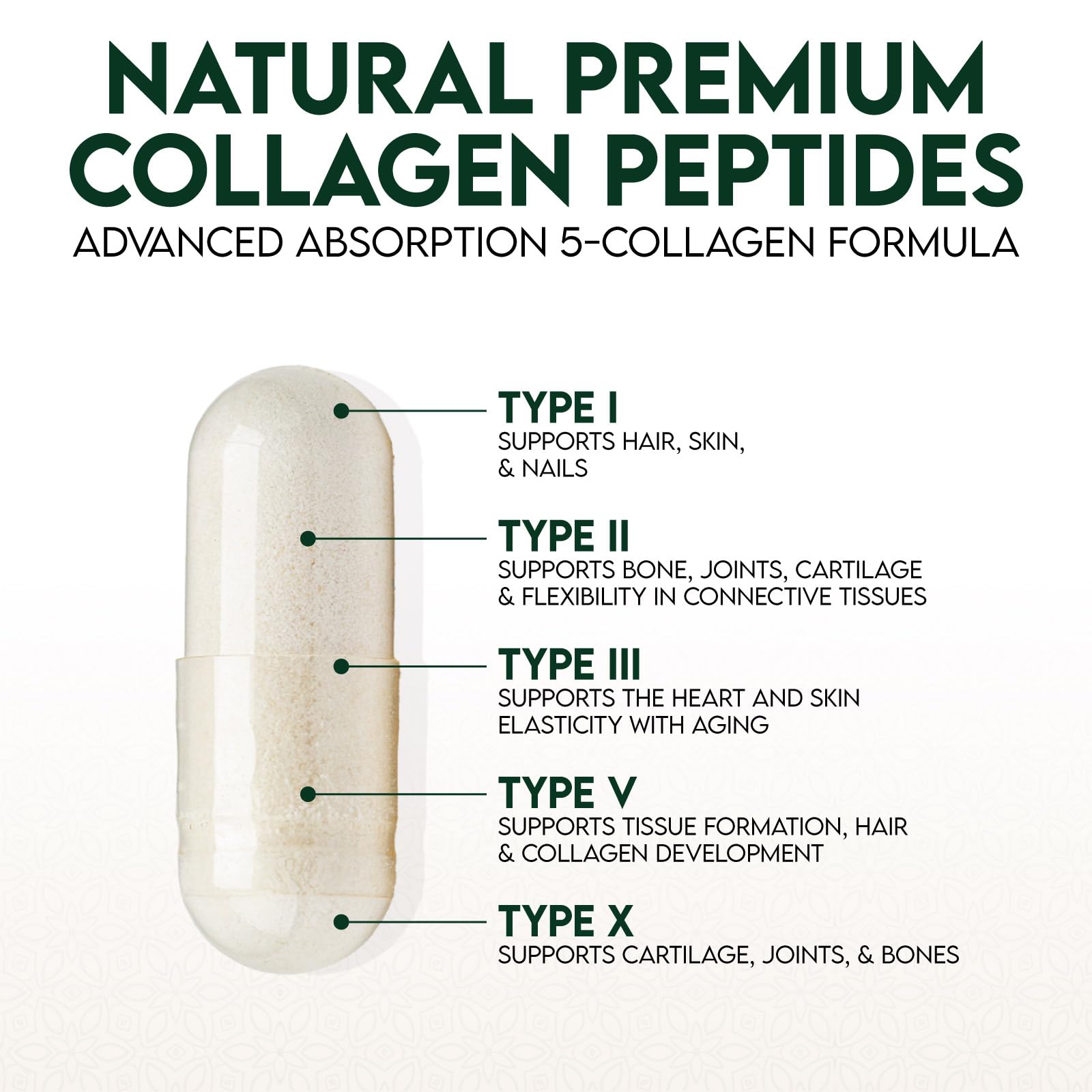 Collagen Peptides for Women & Men - Type I, II, III, V, X Multi Collagen, Hydrolyzed Collagen Supplement Supports Hair, Nail, Skin, Bone and Joint Health with Vital Nutrients & Proteins - 120 Capsules