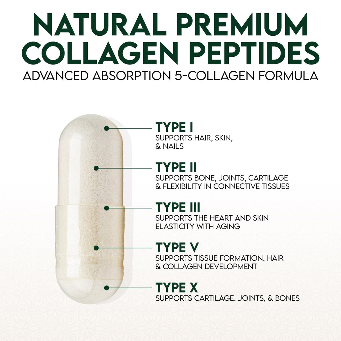 Collagen Peptides for Women & Men - Type I, II, III, V, X Multi Collagen, Hydrolyzed Collagen Supplement Supports Hair, Nail, Skin, Bone and Joint Health with Vital Nutrients & Proteins - 120 Capsules