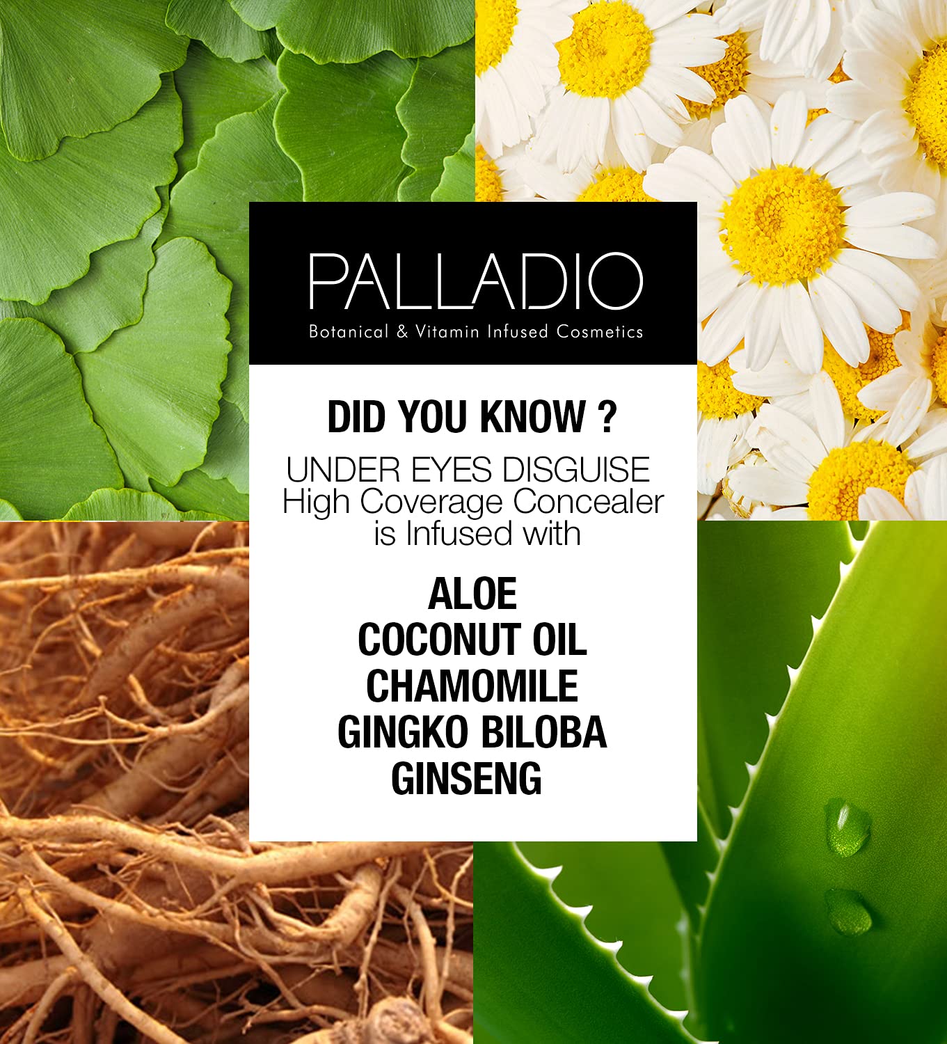 Palladio Beauty Under Eye Concealer to Hide Redness - Long Wear Dark Circles and Acne Corrector for Dusky Skin, Green Tea Color - 10 g