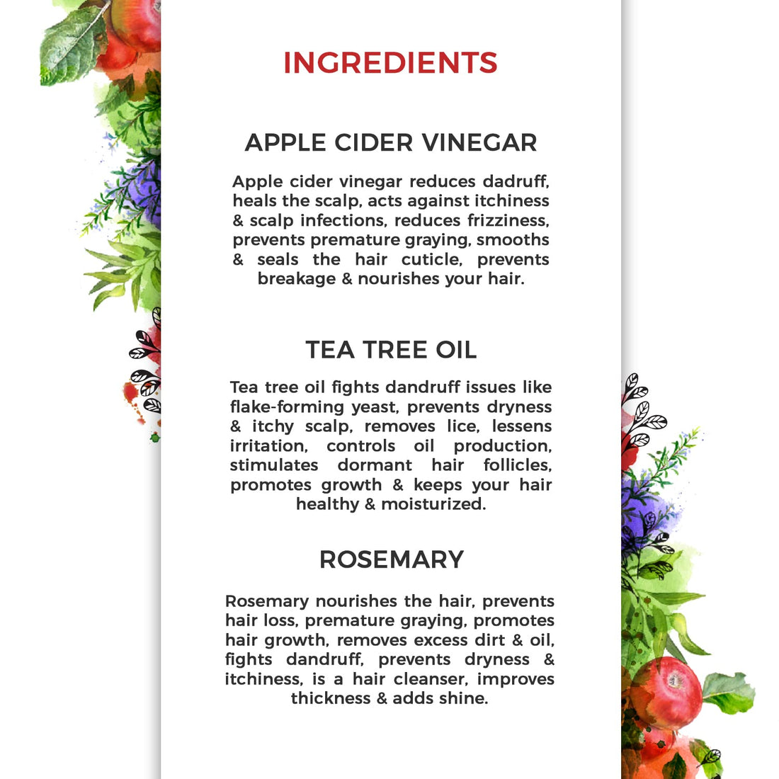 Apple Cider Vinegar, Tea Tree & Rosemary Shampoo - Sulfate Free, Natural & Organic Shampoo for Oily Hair, Dandruff, Itchy Scalp & Thinning Hair - Ideal for Women & Men with Dry Scalp & Grey Hair