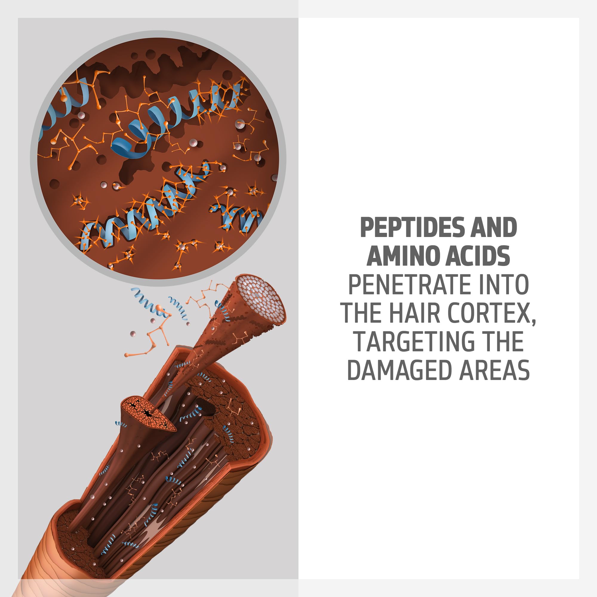 Goldwell Dualsenses Bond Pro Fortifying Shampoo 300ml