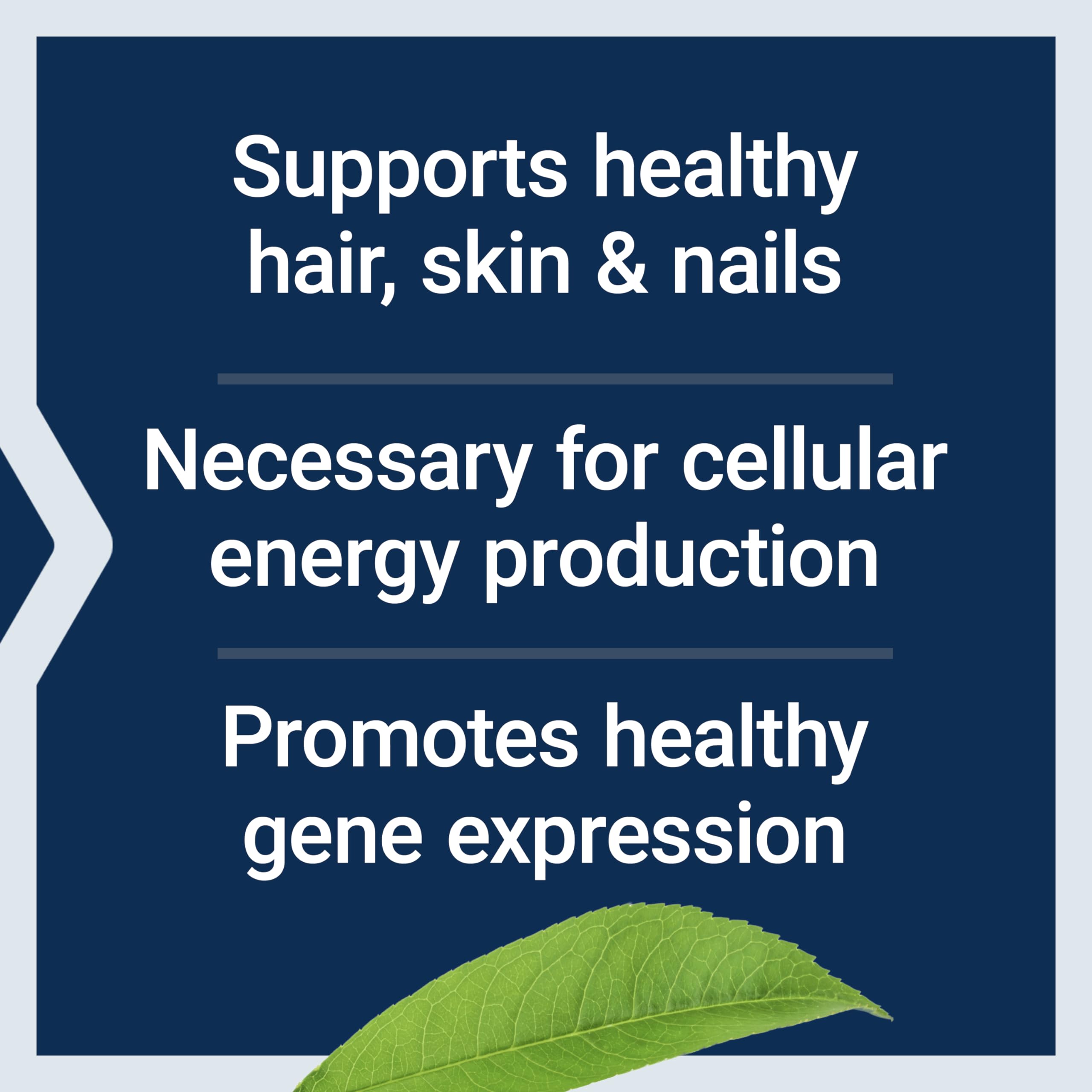 Life Extension Biotin 600 mcg Vitamin B7 Support Supplement for Beautiful Hair, Nails & Beyond – Gluten-Free, Non-GMO - 100 Capsules