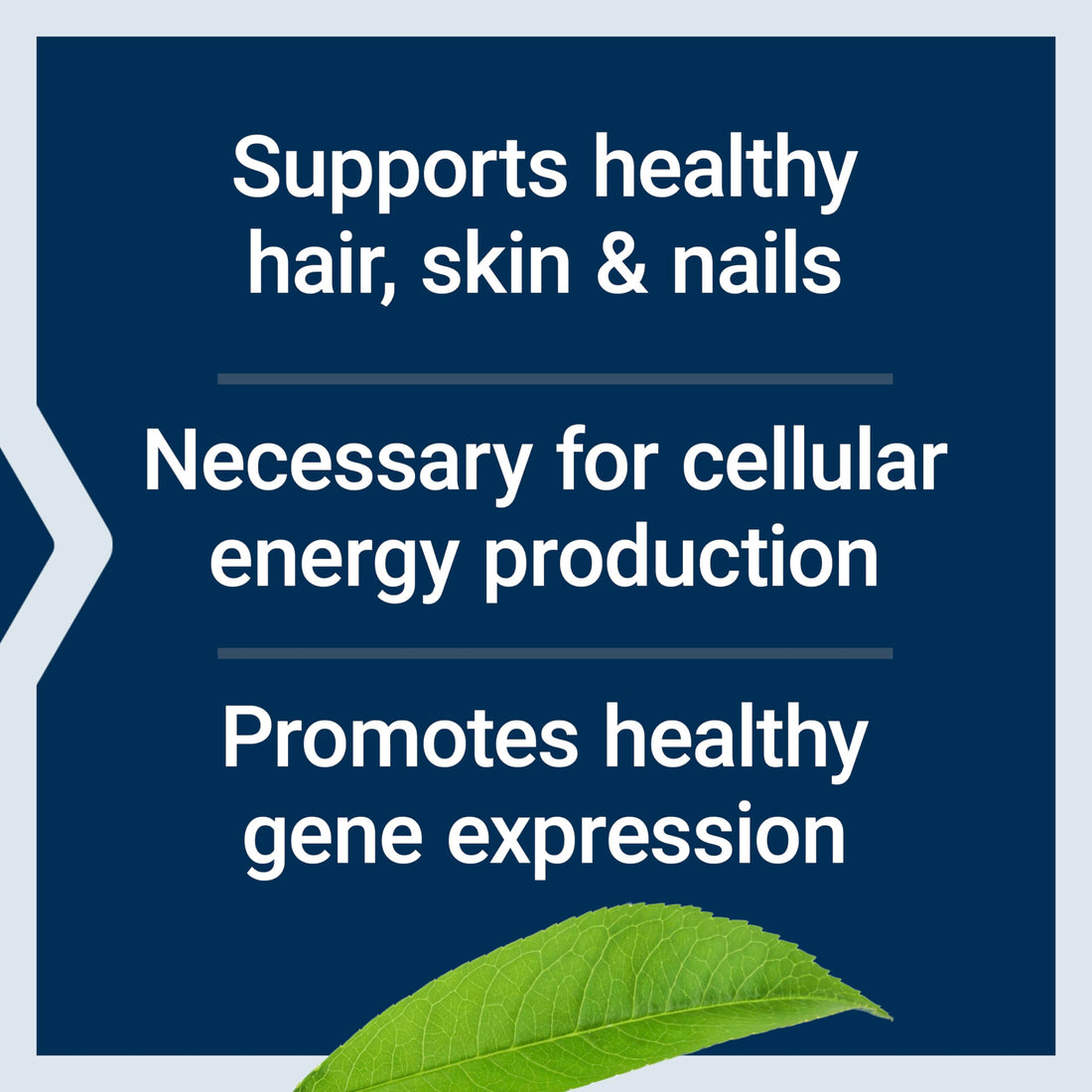 Life Extension Biotin 600 mcg Vitamin B7 Support Supplement for Beautiful Hair, Nails & Beyond – Gluten-Free, Non-GMO - 100 Capsules