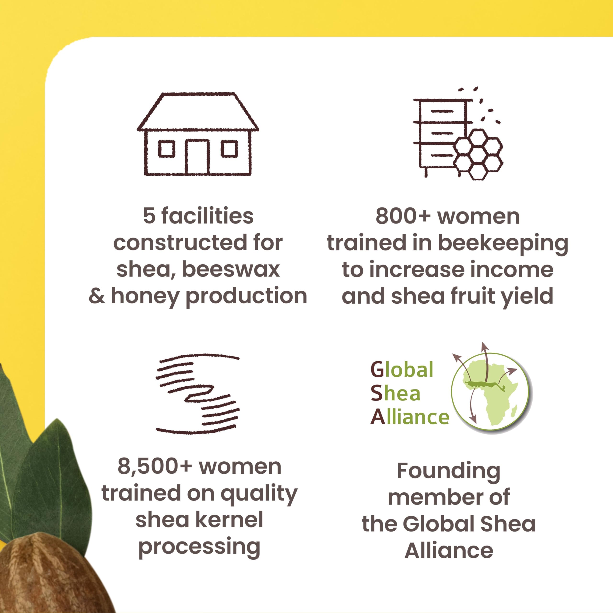 Burt's Bees Shea + Tropical Fruit Luminous Body Oil, Non-Greasy, Antioxidant Rich for Glowing Skin, Non-Irritating, Natural Origin Skin Care, 8 oz.