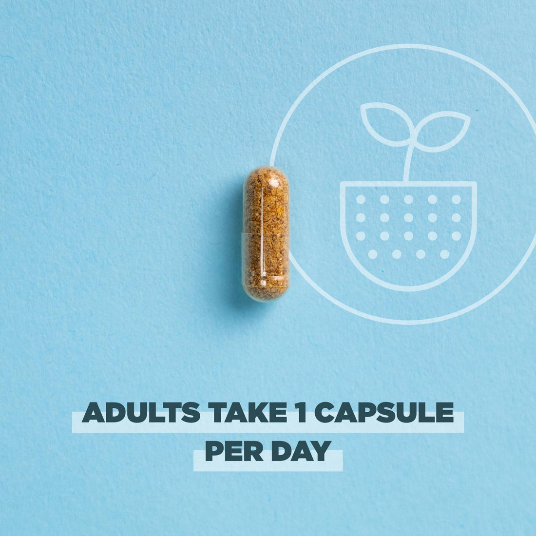 Ancient Nutrition Regenerative Organic Certified Probiotics for Women 50+, Probiotics Women’s 50+ Once Daily, Healthy Digestion and Immune System Support, 25 Billion CFUs* Per Serving, 30 Count