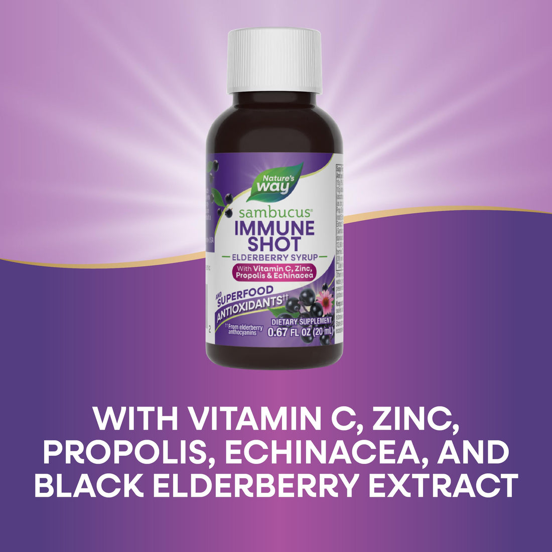 Nature's Way Sambucus Immune Syrup Single Shot, Daily Immune Support*, with Superfood Antioxidants(1), Elderberry, Vitamin C, Zinc, 0.67 Fl Oz x 12